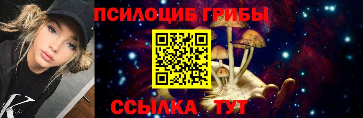 Псилоцибиновые грибы Psilocybine cubensis  Вход с VPN  Уссурийск 